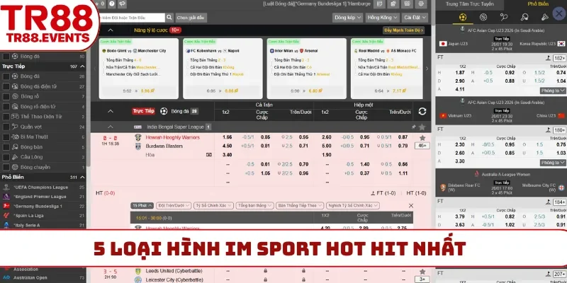 5 loại hình IM sport hot hit nhất